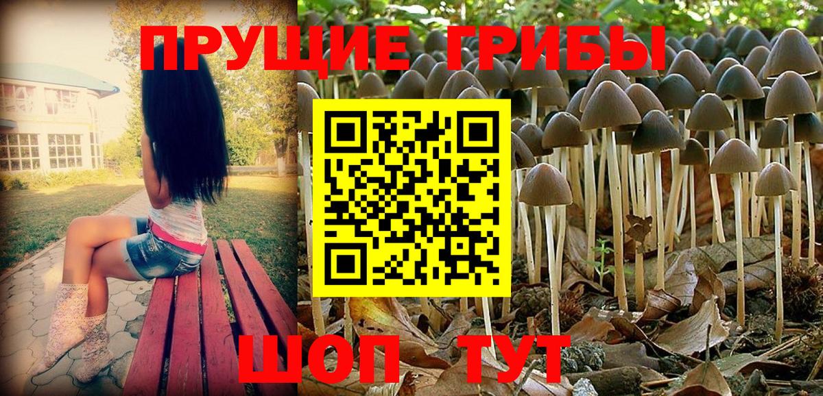 Кандалакша  Псилоцибиновые грибы Cubensis  Вход с VPN 